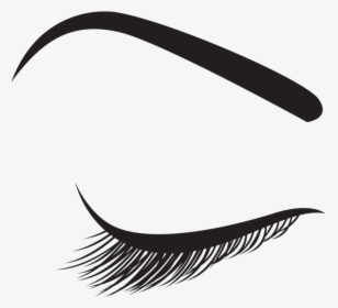 Eyebrow Clipart Eyelash - Transparent Eyebrow Clipart, HD Png Download, Free Download