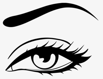Collection Of Free Eyelashes Drawing Eyebrow Download - Brows And Lashes Png, Transparent Png, Free Download