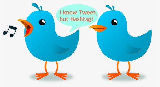 Making Sense Of Twitter Lingo - Bird Cartoon Gif Png, Transparent Png, Free Download