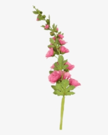 Pink Hollyhock Stem - Flowers On Stem Png, Transparent Png, Free Download