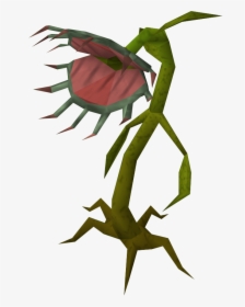 Evil Plant Png, Transparent Png, Free Download