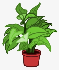 Coloured Clip Arts - Clipart Of A Plant, HD Png Download, Free Download