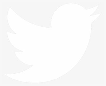 Twitter Logo Png - Twitter Icons Png White, Transparent Png, Free Download