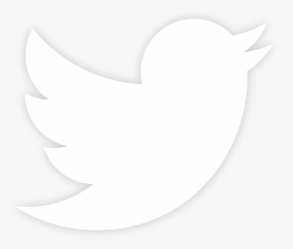 twitter icon white transparent