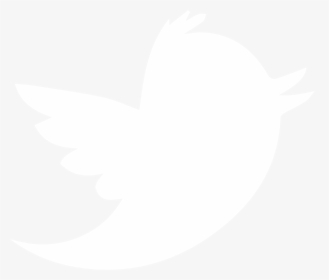 Transparent Twitter Bird Clipart - White Twitter Logo No Background, HD Png Download, Free Download