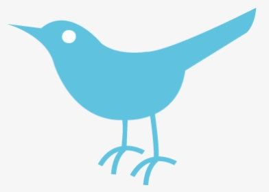 Twitter Bird Logo Transparent - Twitter Gifs Transparent Background, HD Png Download, Free Download