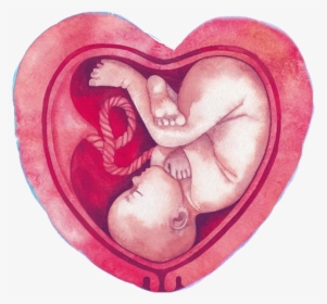 #baby #unborn #womb #fetus #freetoedit - Placental Abruption Awareness Day, HD Png Download, Free Download
