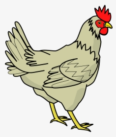 Chicken Clipart, HD Png Download, Free Download