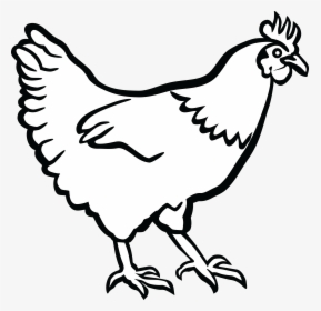 Collection Of Chicken - Hen Black And White Clipart, HD Png Download, Free Download
