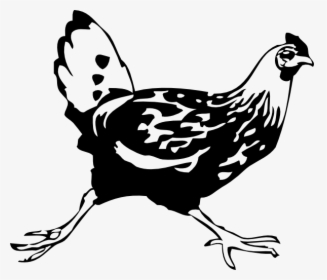 Running Chicken Svg Clip Arts - Draw A Chicken Running, HD Png Download, Free Download