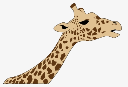 Giraffe Neck And Head Drawing, HD Png Download, Free Download