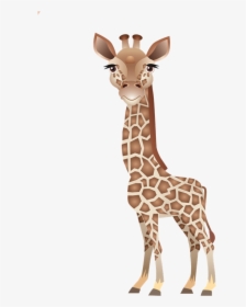 Clip Art Leopard About Giraffes Northern - Giraffe, HD Png Download, Free Download