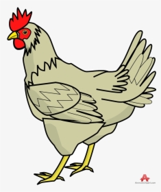 Chicken Clipart Design Free On Transparent Png - Chicken Clipart, Png Download, Free Download