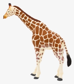 Transparent Giraffe Head Png - Animal Planet Mojo Giraffe, Png Download, Free Download