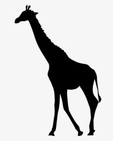 Transparent Giraffe Head Png - Giraffe Silhouette Clipart, Png Download, Free Download