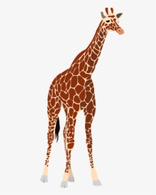 Free Png Download Giraffe Png Images Background Png - Giraffe Free Vector, Transparent Png, Free Download