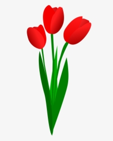 Red Tulips Clipart, HD Png Download, Free Download