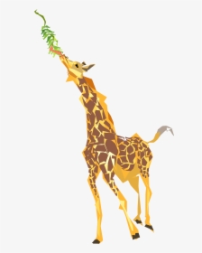 Clip Art Giraffe Clipart - Giraffe Eating Leaves Clipart, HD Png Download, Free Download