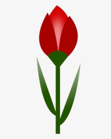Plant,flower,petal - Gumamela Bud Clipart, HD Png Download, Free Download