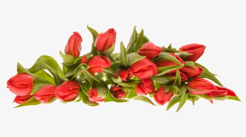 Bouquet Flower Images Png, Transparent Png, Free Download