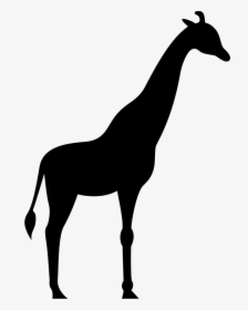Giraffe Facing Right - Giraffe Cartoon Facing Right, HD Png Download, Free Download