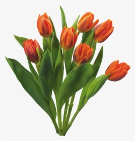 Bouquet Of Flowers Icon Clipart - Flowering Plants Png High Resolution, Transparent Png, Free Download