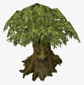 Runescape Tree, HD Png Download, Free Download