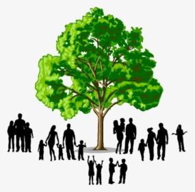 Tree Transparent Family Logo, HD Png Download, Free Download