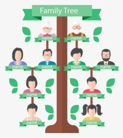 Family Tree Background Png - Family Tree Vector Png, Transparent Png, Free Download