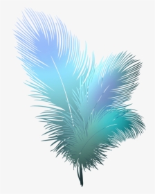 Feathers Clipart Transparent Background - Transparent Background Feather Png, Png Download, Free Download