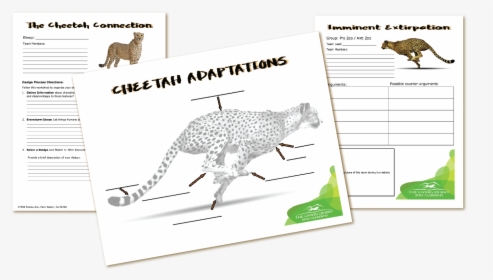 The Living Desert Cheetah Fun K-12 Activity Guides - Cheetah, HD Png Download, Free Download