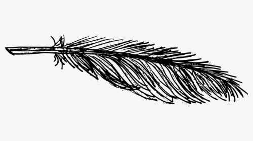 Feather Drawing Png, Transparent Png, Free Download