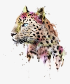 Leopard T Shirt Clothing - Fondo De Chita Png, Transparent Png, Free Download