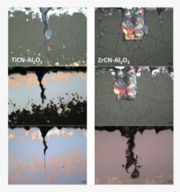 Crack Morphology Of The Worn Area At Three Different - Reflection, HD Png Download, Free Download