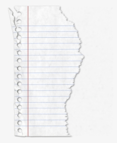 Torn Lined Paper Png- - Lined Torn Paper Png, Transparent Png, Free Download