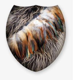 Feather Cloak Maori, HD Png Download, Free Download