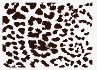 Leopard Print Png, Transparent Png, Free Download