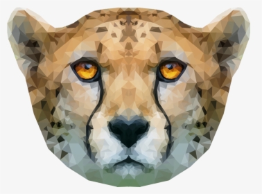 Cheetah Head Png, Transparent Png, Free Download