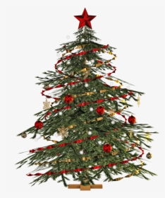 Christmas Tree Png Transparent, Png Download, Free Download