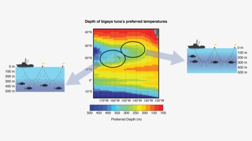 Map Showing The Depths Preferred By Bigeye Tuna And - Graphic Design, HD Png Download, Free Download