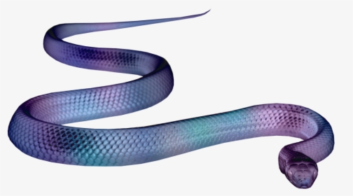 Snake Png Aesthetic, Transparent Png, Free Download
