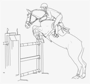 Horse Bridle Show Jumping Equestrian - Horse Show Jumping Drawings, HD Png Download, Free Download