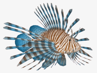 Thumb Image - Lionfish Transparent, HD Png Download, Free Download