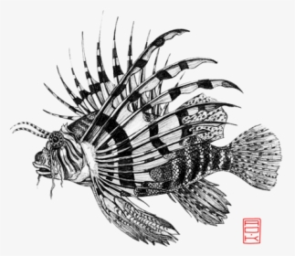 Red Lionfish, HD Png Download, Free Download