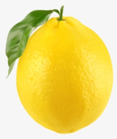 Fresh Lemon Png Clip Art Image - Lemon Png Clipart, Transparent Png, Free Download