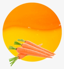 Concentrado De Zumo De Zanahoria - Carrot China, HD Png Download, Free Download