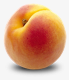 One Apricot, HD Png Download, Free Download