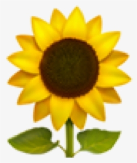 #emoji #iphone #iphoneemoji #emojis #iphoneemojis #sunflower - Sunflower Emoji Png, Transparent Png, Free Download