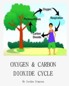Tree Give Us Oxygen, HD Png Download, Free Download