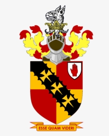 White Lion Coat Of Arms , Transparent Cartoons - Solihull Coat Of Arms, HD Png Download, Free Download